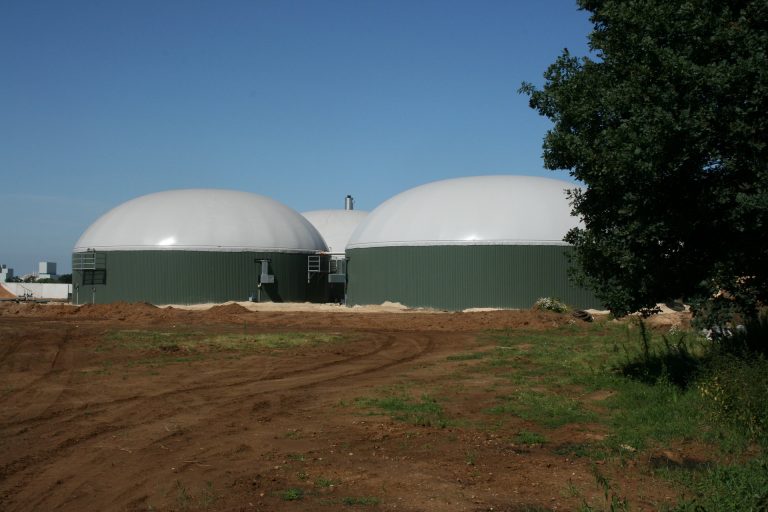 Antibiotika in Gülle: Biogasanlage keine Barriere