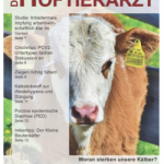 eMag_Titel_1-19 klein