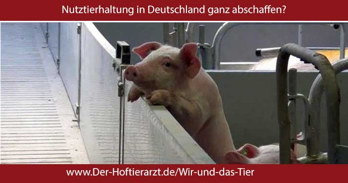 Nutztierhaltung in Deutschland ganz abschaffen?