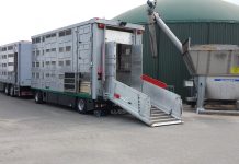 Bundesratsentschließung zum Tierschutz bei Tiertransporten