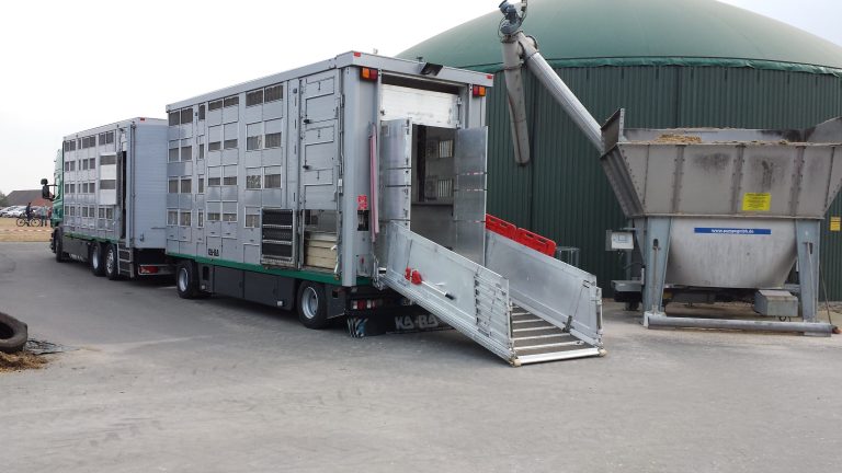Niedersächsisches Agrarministerium gibt zwei Erlasse zu Tiertransporten an Behörden – weiterer Erlass folgt
