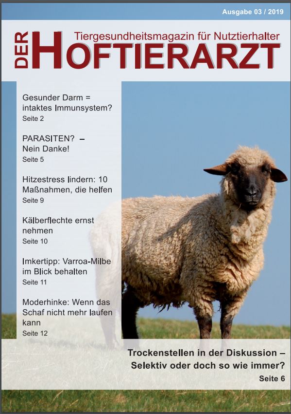 Der Hoftierarzt E-Magazin 3/2019 – soeben erschienen