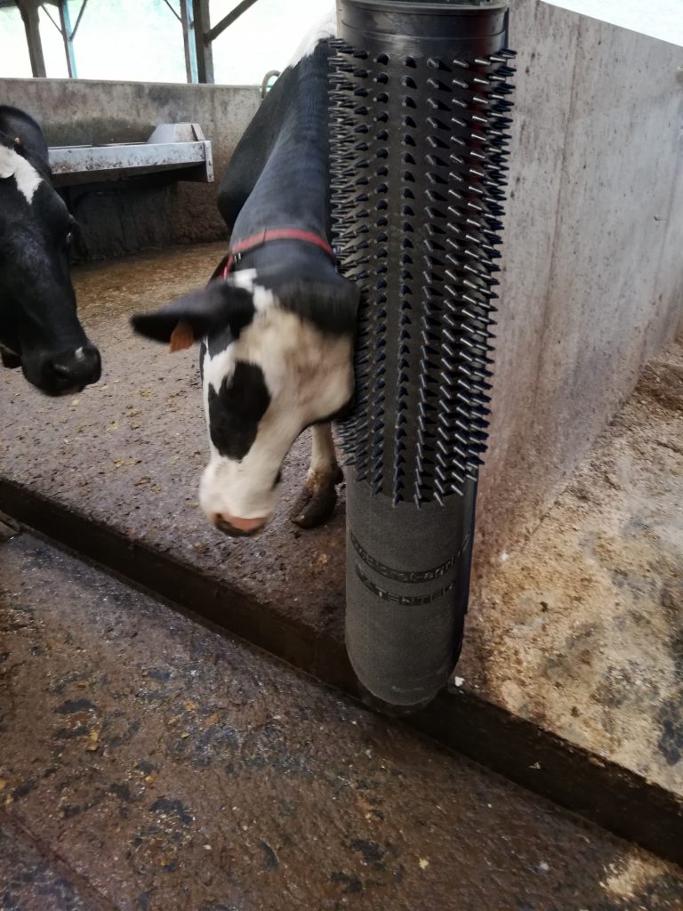 Neuheit: Dairy Scratchy  – die Kratzmatte von Bioret-Agri für mehr Tierwohl im Stall