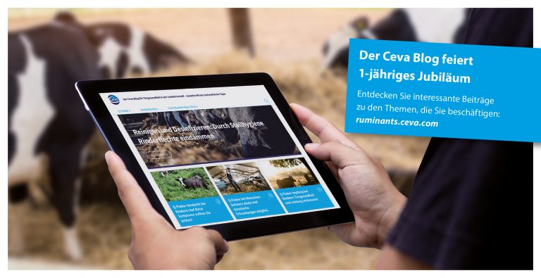 1-jähriges Jubiläum: Der Ceva Blog für Tiergesundheit in der Landwirtschaft