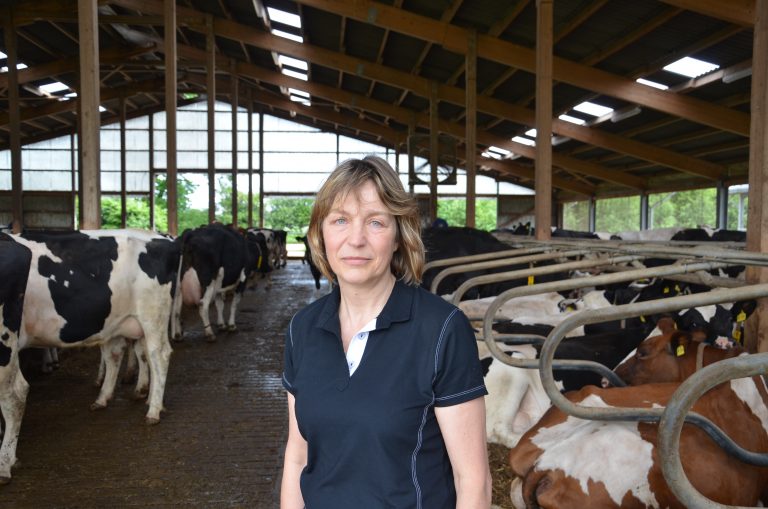 Interview: Kühe länger melken: Was bedeutet das für die Kälberaufzucht?