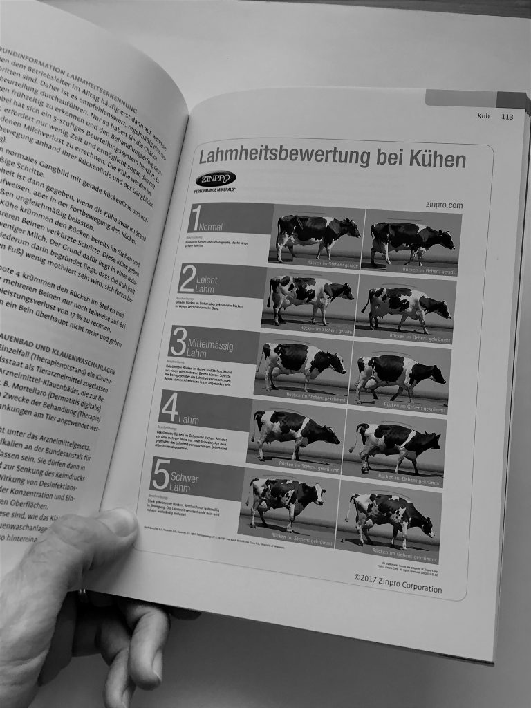 Tierschutzrelevanz von Klauenerkrankungen beim Rind #TiHo-Tierschutz-Tagung 2021 – Teil 3