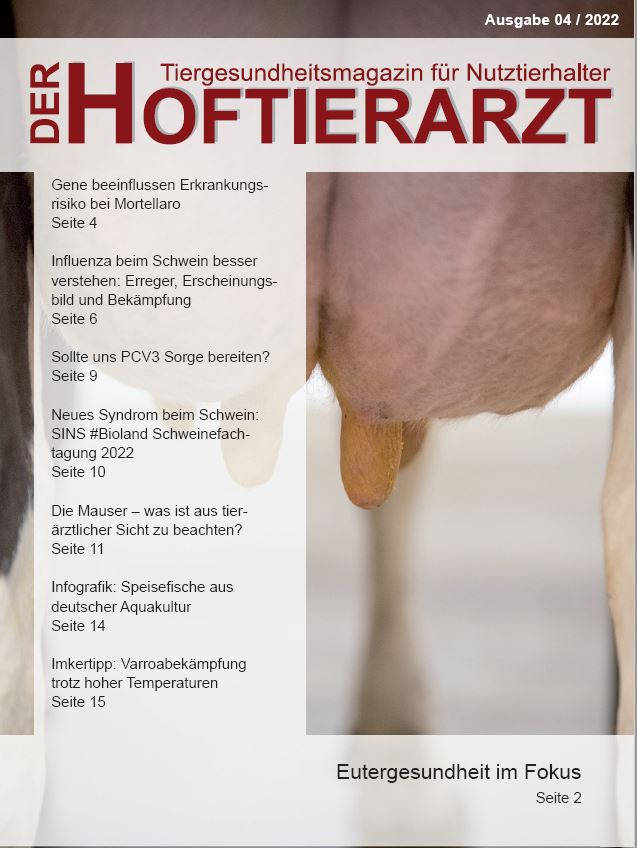 E-Magazin „Der Hoftierarzt“ 4/2022 steht zum kostenfreien Abruf bereit