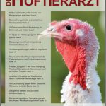 Der-Hoftierarzt-2023_05_cover