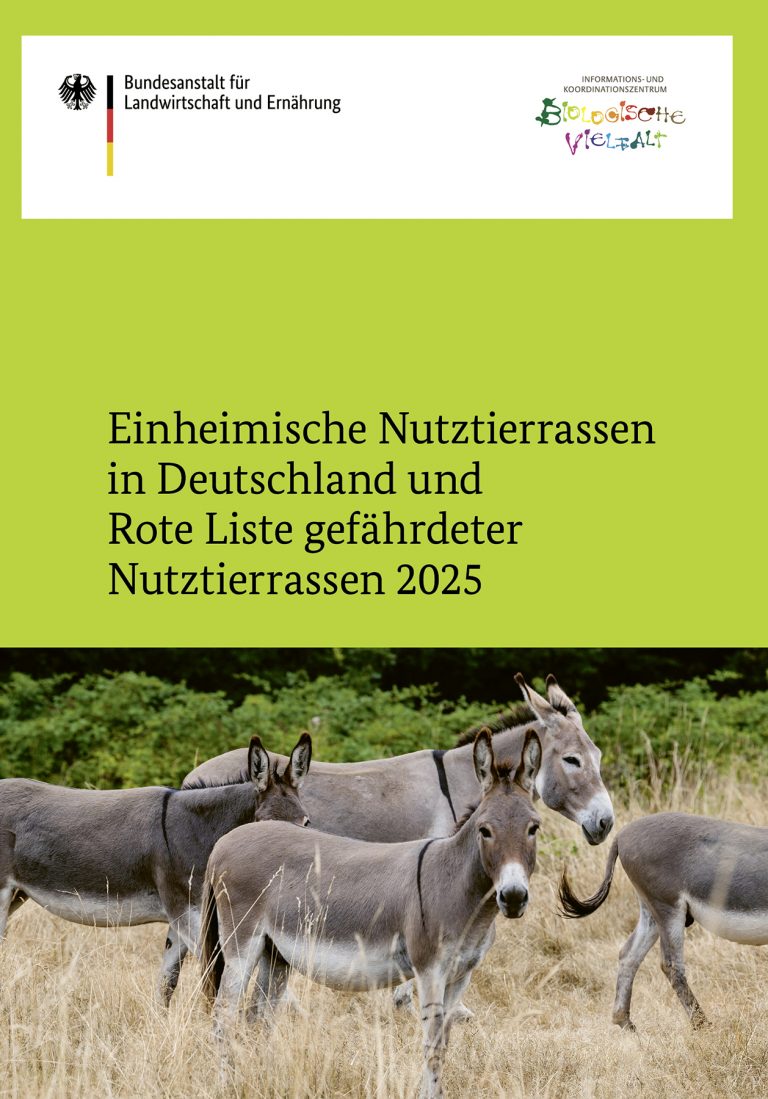 Rote Liste einheimischer Nutztierrassen 2025: Schafrassen und Angorakaninchen stärker bedroht