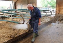 Neu: Handlich und praktisch einstreuen mit DESICAL®