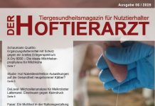 E-Magazin „Der Hoftierarzt“ 6/2025 erschienen!