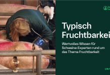 „Typisch Fruchtbarkeit“: Neues E-Book von Boehringer Ingelheim für mehr Erfolg in der Sauenhaltung