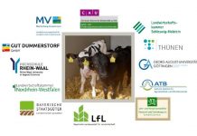 InnoRind – Konzepte zur Kälberhaltung in Deutschland