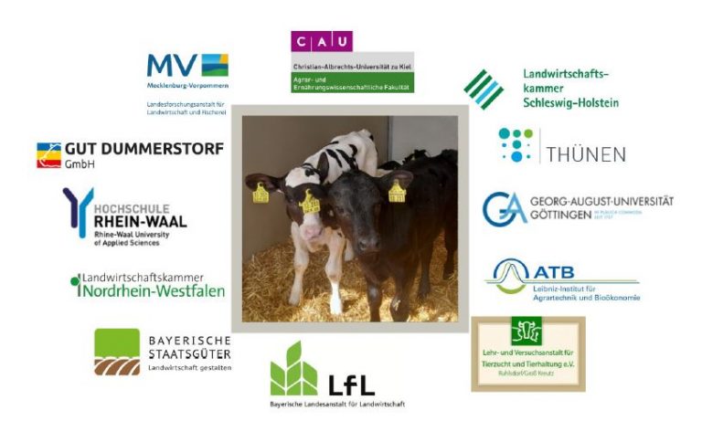 InnoRind – Konzepte zur Kälberhaltung in Deutschland