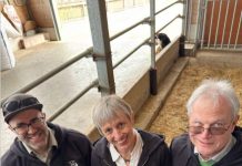 KuhPromi Club – Wir machen Kühe wieder zu Superstars