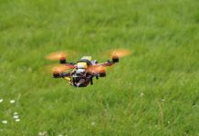 Schutz für Schaf und Schäfer: Tierfreundliche Wolfsabwehr