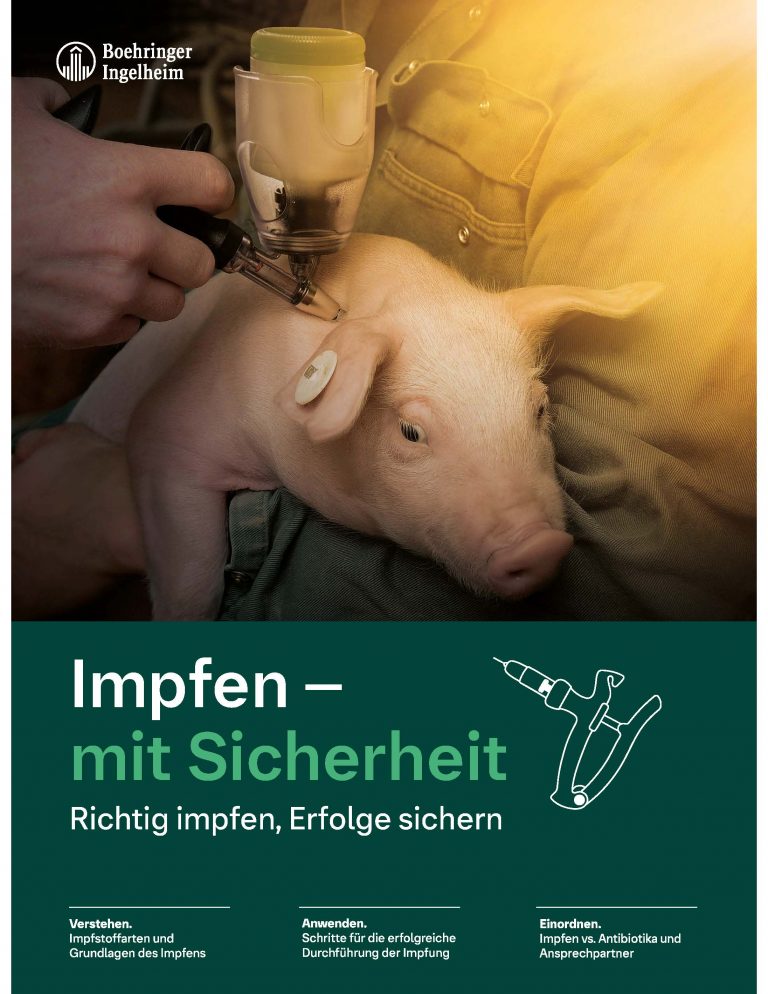 Neues kostenloses E-Book: Sicher impfen – worauf kommt es wirklich an?
