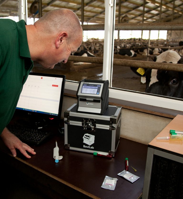BoviLab bringt die Blutanalyse direkt auf den Milchviehbetrieb – Markteinführung in Deutschland