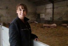 Praxistipp des Netzwerk Fokus Tierwohl: Schwanzbeißen