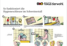 Praxistipp des Netzwerk Fokus Tierwohl: Biosicherheit