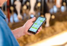 smaXtec und Lely intensivieren ihre Zusammenarbeit