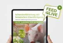 Heimische Eiweißträger in der Schweinefütterung: Webinar liefert Praxiswissen und neue Impulse – am 3. 9. 2026
