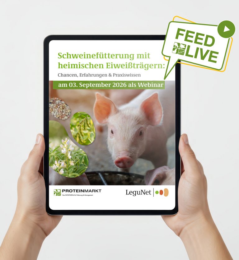 Heimische Eiweißträger in der Schweinefütterung: Webinar liefert Praxiswissen und neue Impulse – am 3. 9. 2026