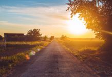 Hitzestress-Webinar. Kostenfrei am 11. 8. 26 von 19.00 – 21.00 Uhr