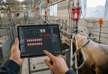 MultiPhase Opti.Mum: Kosteneffiziente Multiphasenfütterung über Frequenz-Dosierer im Abferkelstall