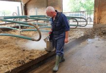 Hygienebausteine gegen Mastitis & Co kombinieren