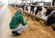 Tierwohl als ökonomisches Frühwarnsystem: smaXtec setzt neue Maßstäbe im Milchkuh-Gesundheitsmanagement
