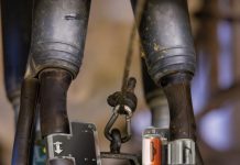 EuroTier 2026 Silbermedaille: CowManager Milchsensor