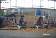 EuroTier 2026 Silbermedaille: FeedCAM