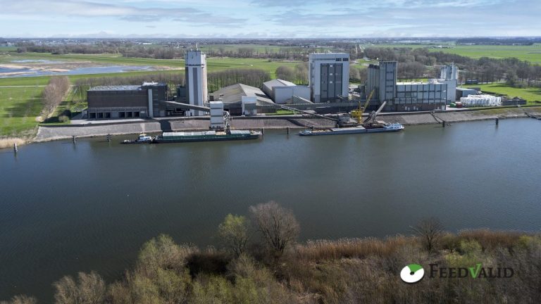 EuroTier 2026 Silbermedaille: Covamino 2.0