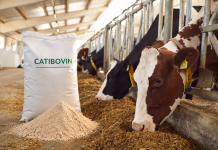 EuroTier 2026 Goldmedaille: PerformaNat CatiBovin
