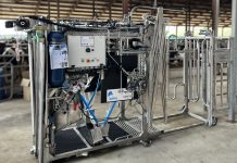 EuroTier 2026 Silbermedaille: Silver Bullet – Automatisches Klauentreibegatter