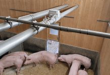 EuroTier 2026 Silbermedaille: Strohmatic AERO Staubbindung