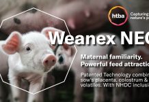 EuroTier 2026 Silbermedaille: Weanex NEO