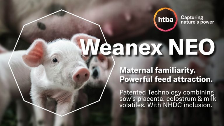 EuroTier 2026 Silbermedaille: Weanex NEO