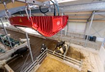 EuroTier 2026 Silbermedaille: Lely Zeta AI calving